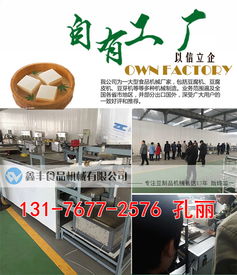河南商丘豆腐皮機采購指南 廠家直銷、商用價格與購買渠道